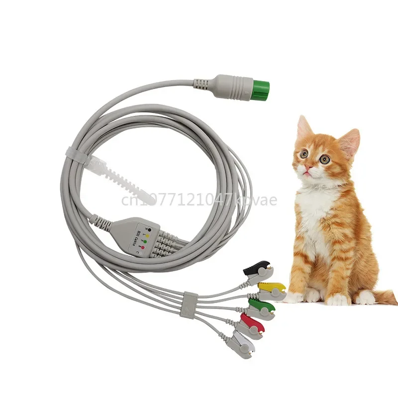 Animal Heart Conductivity Wire Gold-plated Button Pet Ecg One 5 Lead Wire