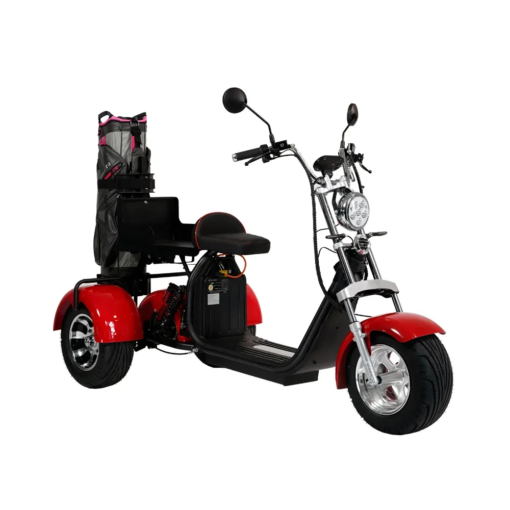 

ZAIQU australia market personal fat tire high quality elderly 2 wheel lithium electric mobility scooter golf cart golf scooter