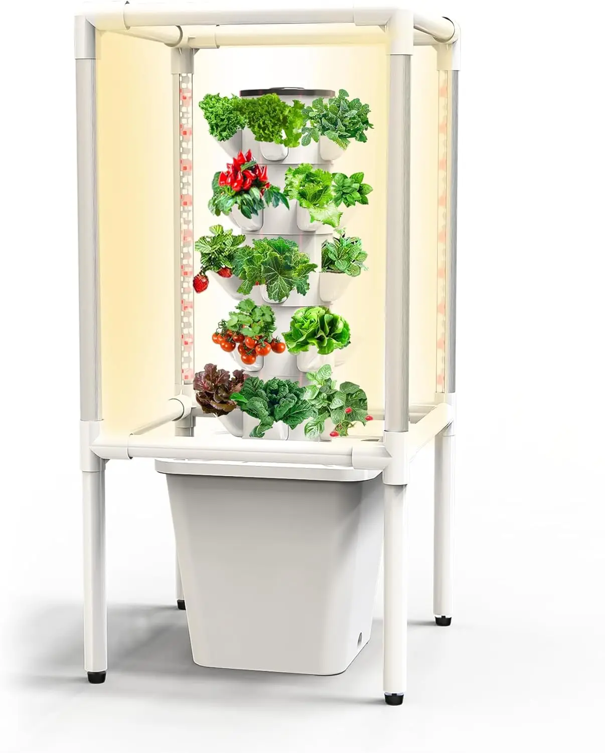 

Hydroponic Growing System with Grow Lights (No Seedlings Included) |25-Plant Hydroponic System | Home Gardening System