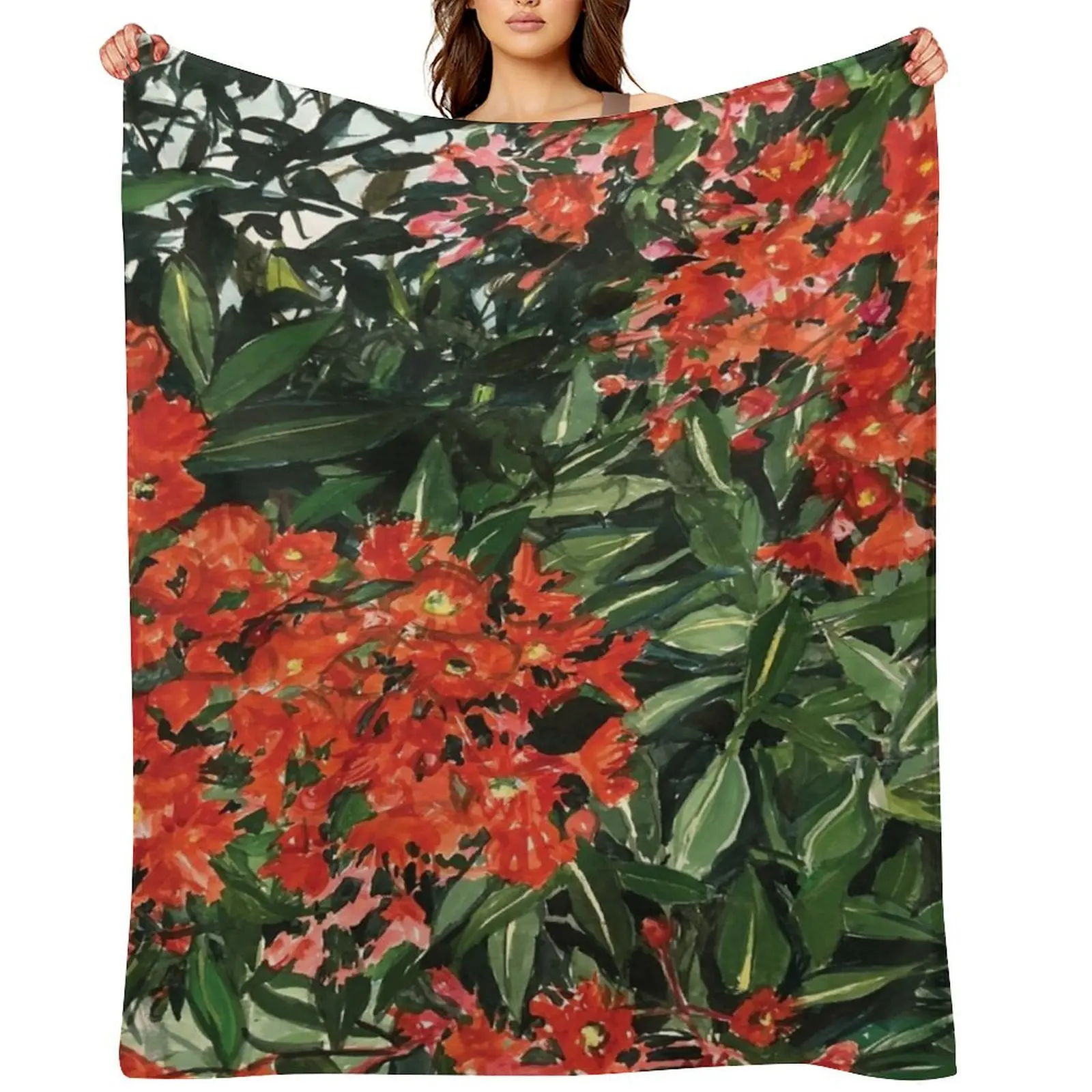 Red Flowering Gum T…