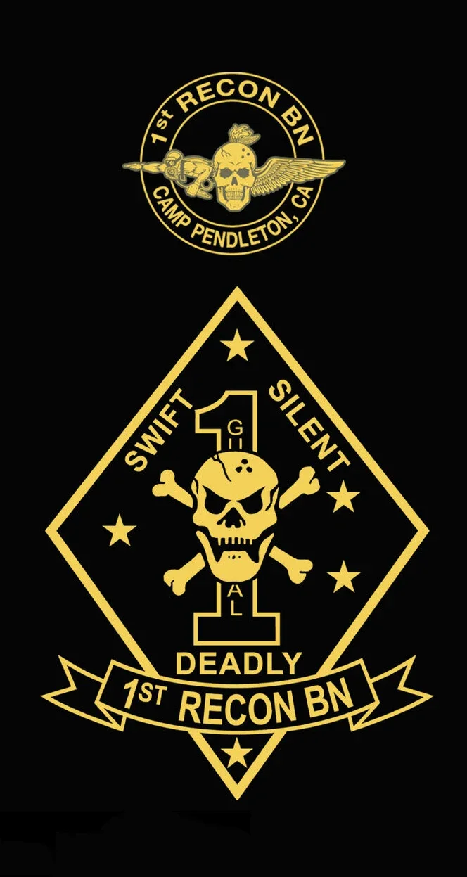 Camp Pendleton, CA . US Marine Corps 1st Recon Battalion Pullover Hoodie New 100% Cotton Comfortable Casual Mens Sweatshirt