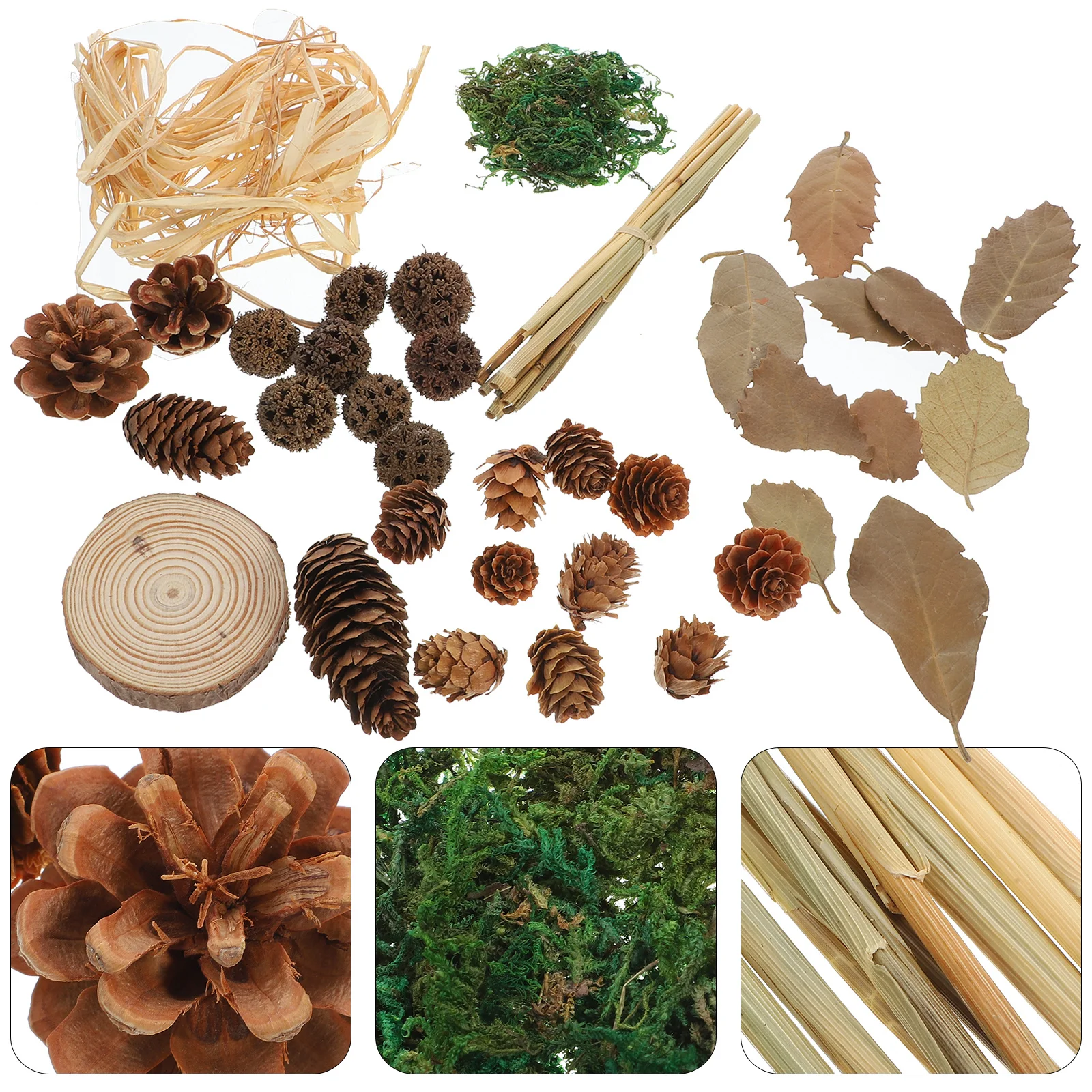 

1Set Retro Photography Props Creative Photo Background Food Photography Supplies Decorative Wood Pine Cone Leaf Adornments