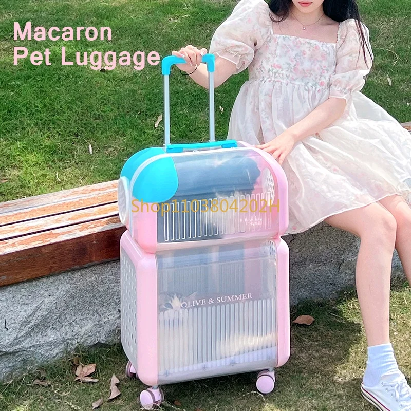 Separate Design Cat Out Trolley Case Portable Transparent Space Pet Bag  Large Capacity Can Hold 2 To 3 Cats travel bag