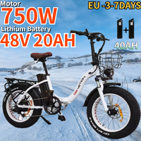 Electric Bike 750W Powerful Motor 48v20ah Battery 20*4.0 Inch Fat Tire E Bike Adult Adjustable Speed Folding Electric Bicycle