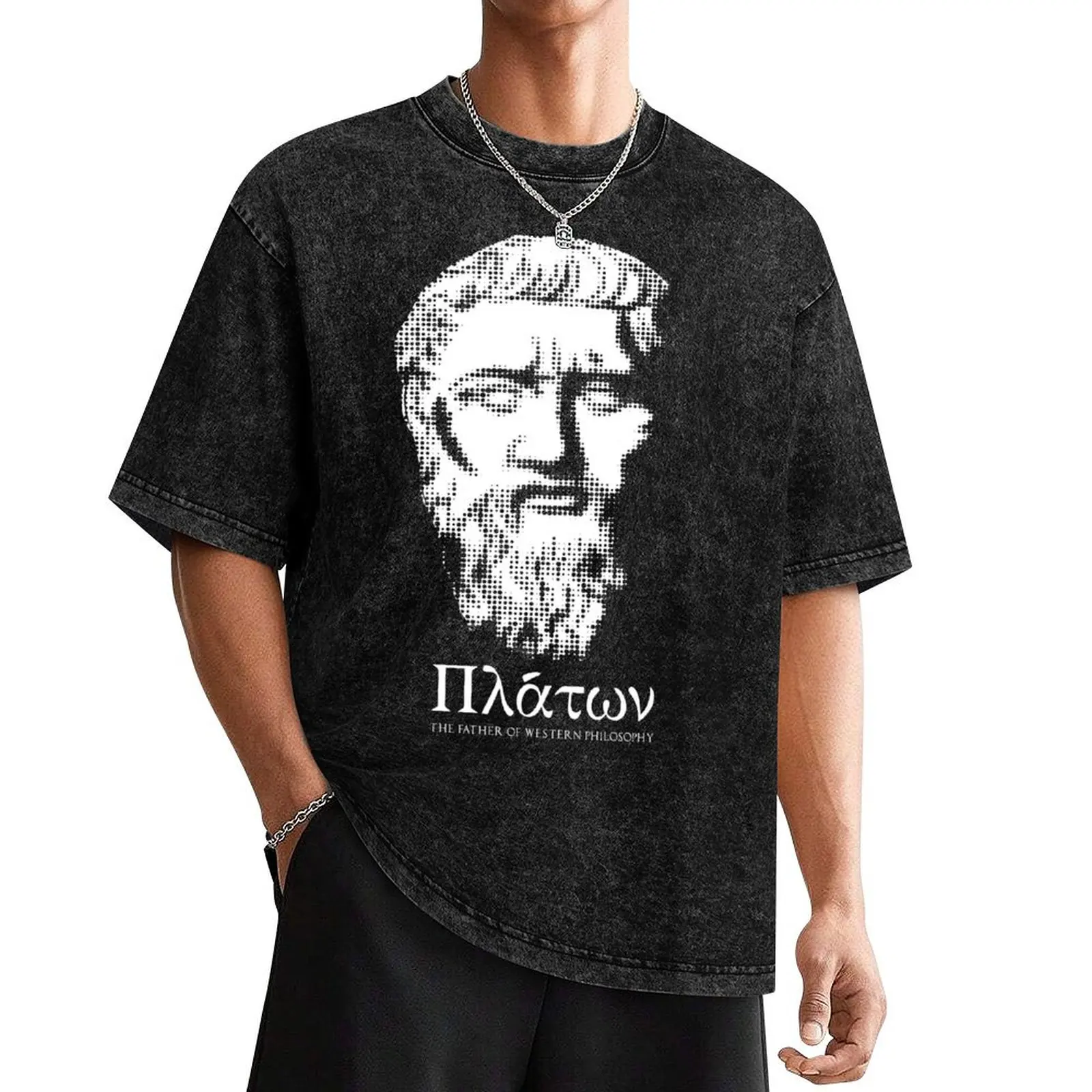 Plato The Father Of Western Philosophy T-Shirt customs design your own custom shirt mens t shirts top quality