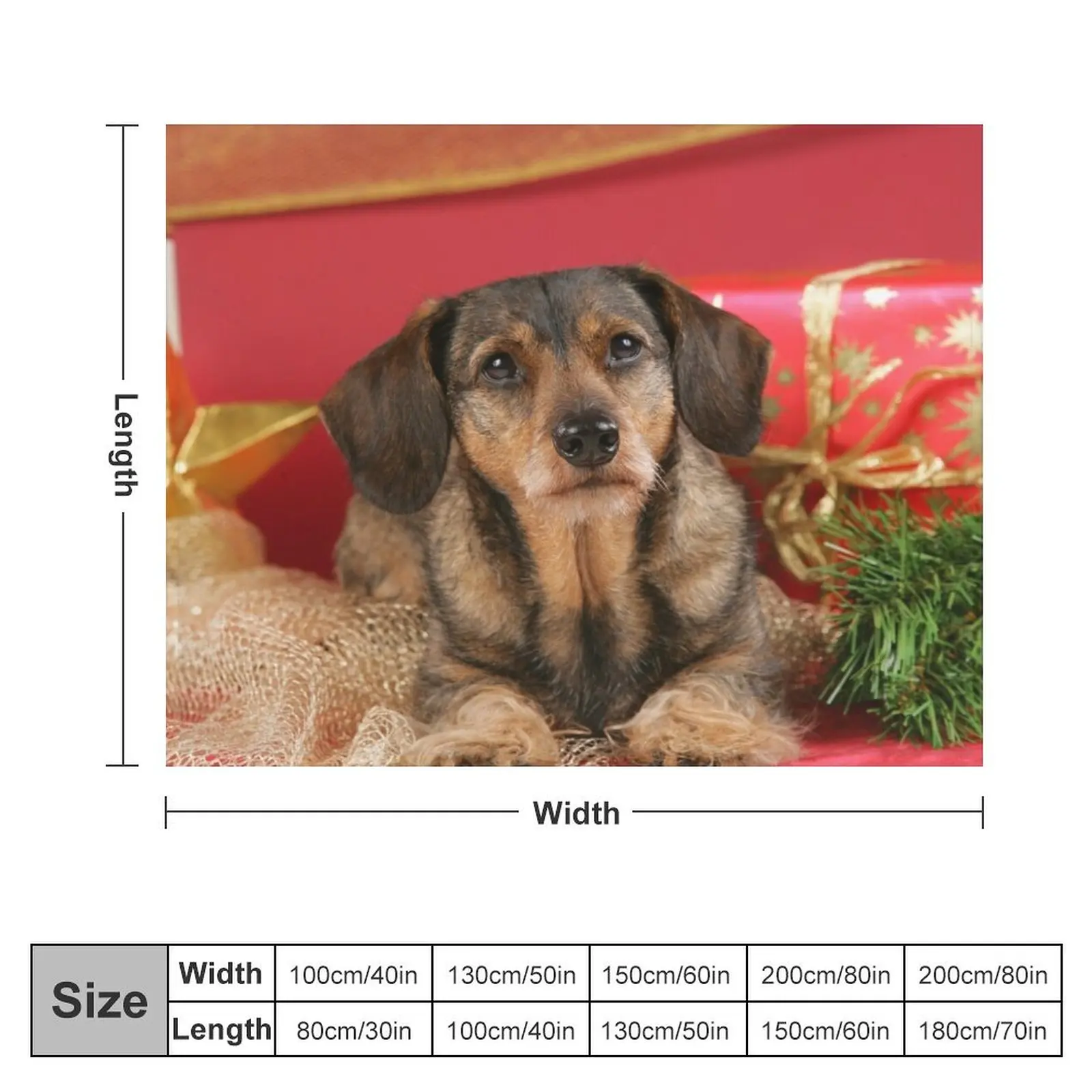 Sweet wire-haired dachshund dog wishes Merry Christmas Throw Blanket Flannel Flannel Fabric Blankets