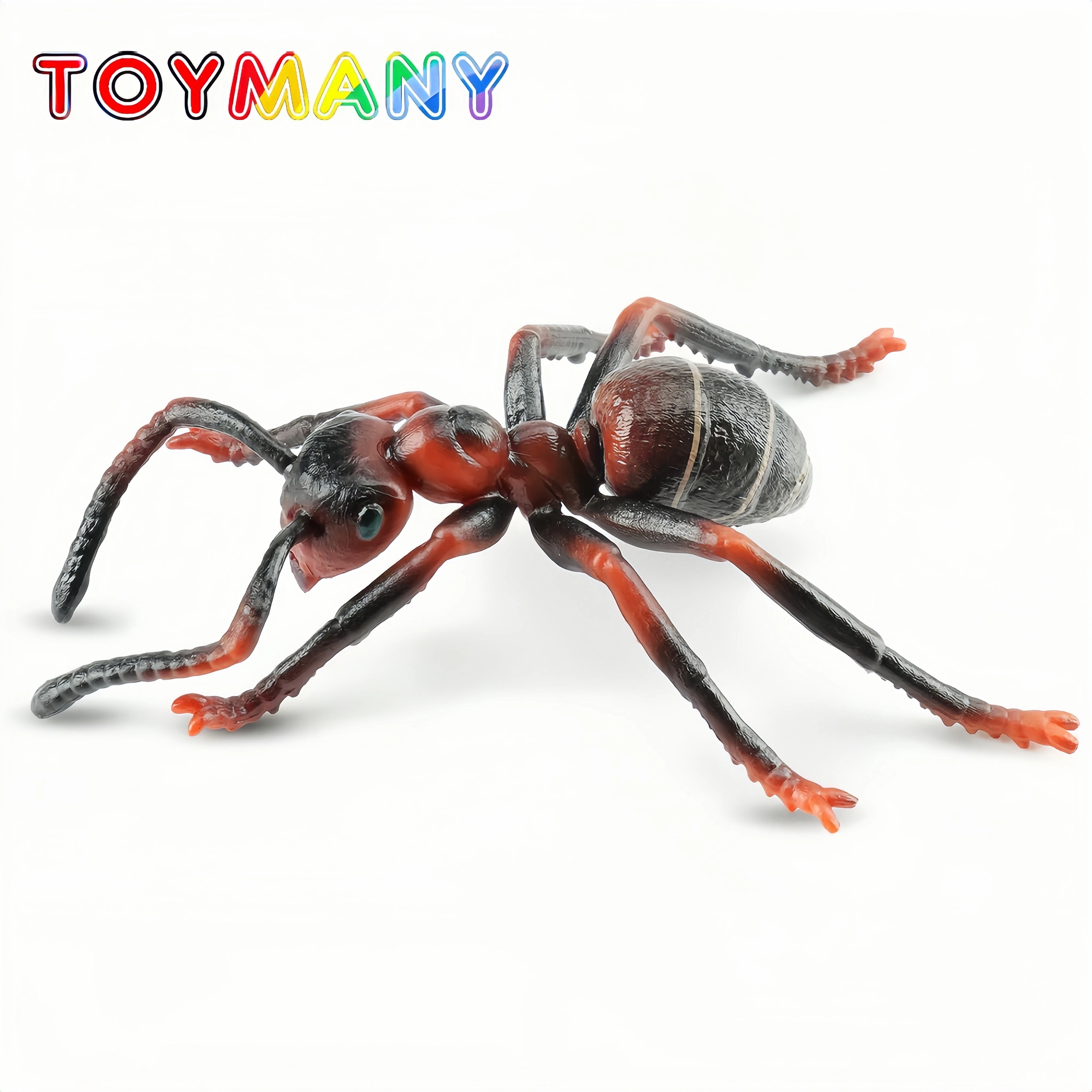 

Toymany Insect Animal Wild Reptile Model Simulation Insect Red Fire Ant Animal Model Toy Mini Figures Toys Children Gift