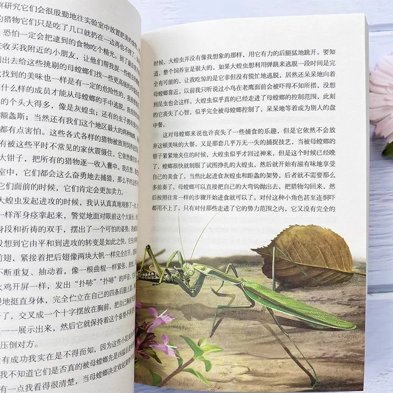 سجلات الحشرات، الطبعة الشبابية من كتاب القراءة اللامنهجي للصف 8، المجلد الأول #4