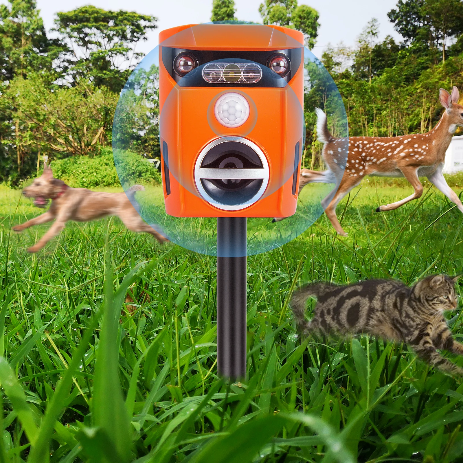 AR01 Открытый птица, кошка, мартен, грызун, электронный отпугиватель собак, 2024, ультразвуковой солнечный репеллент для животных