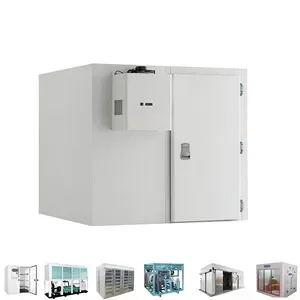 Camera di stoccaggio del freddo delle verdure Porta incernierata Camminata nella stanza del dispositivo di raffreddamento Unità di refrigerazione Conservazione del congelamento Frutta Carne Congelamento