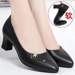 High Quality Thick Heeled Single Shoes Women's 2024 New High Heeled Shallow Mouth Comfortable Genuine Leather Office Women Shoes