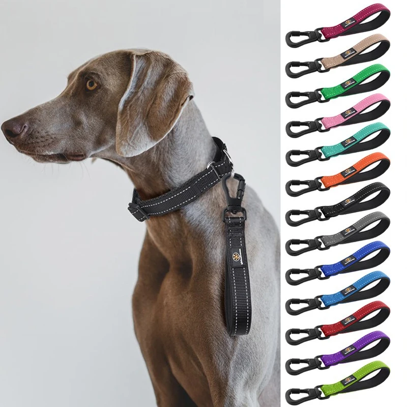 Nylon Dog Training Leash Solid Color Short Collar Chain Accessories Medium Light Reflective Anti Break Outdoor Big Dog Leash