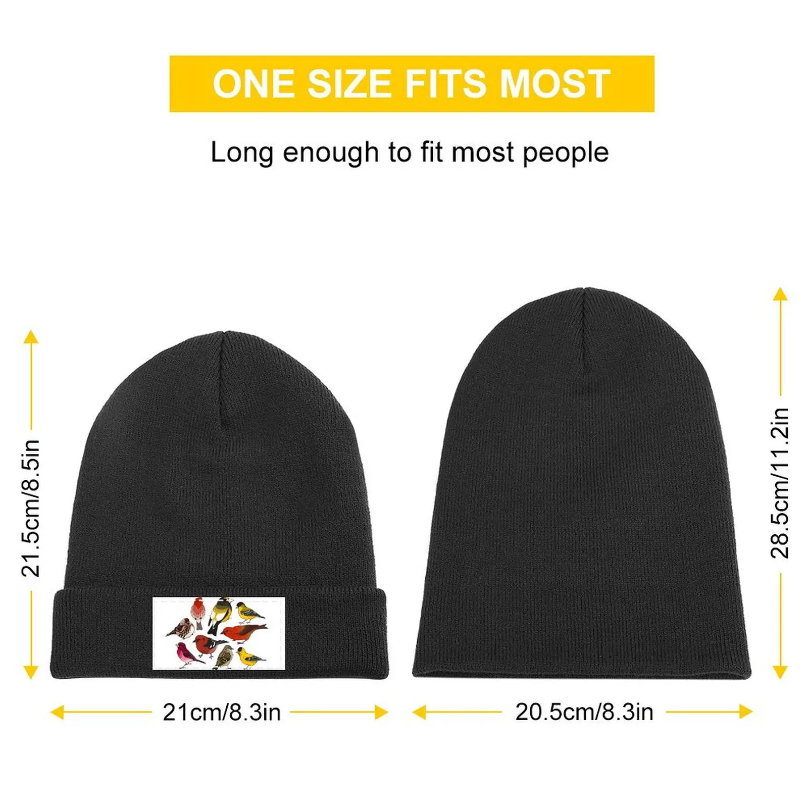 North American Finches Knitted Cap Hip Hop Luxury Man Hat Wild Ball Hat Hats Man Women's