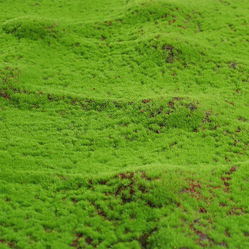 Artificial Grass Rug