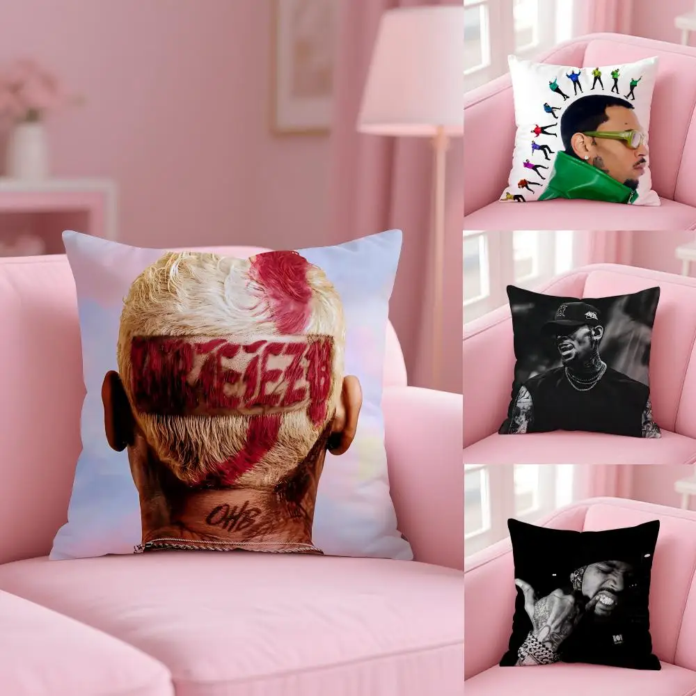 C-Chris كيس وسادة بني نسيج قطيفة ناعم على الوجهين مطبوع أريكة شتاء دافئ هدية منزلية غطاء وسادة #4