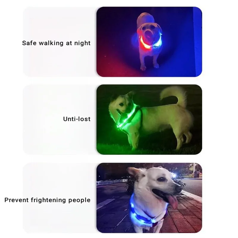 형광 개 목걸이 야간 산책 안전 LED 조명 목걸이, 애완동물 보호 목걸이, 빛나는 Martingale 목걸이 액세서리