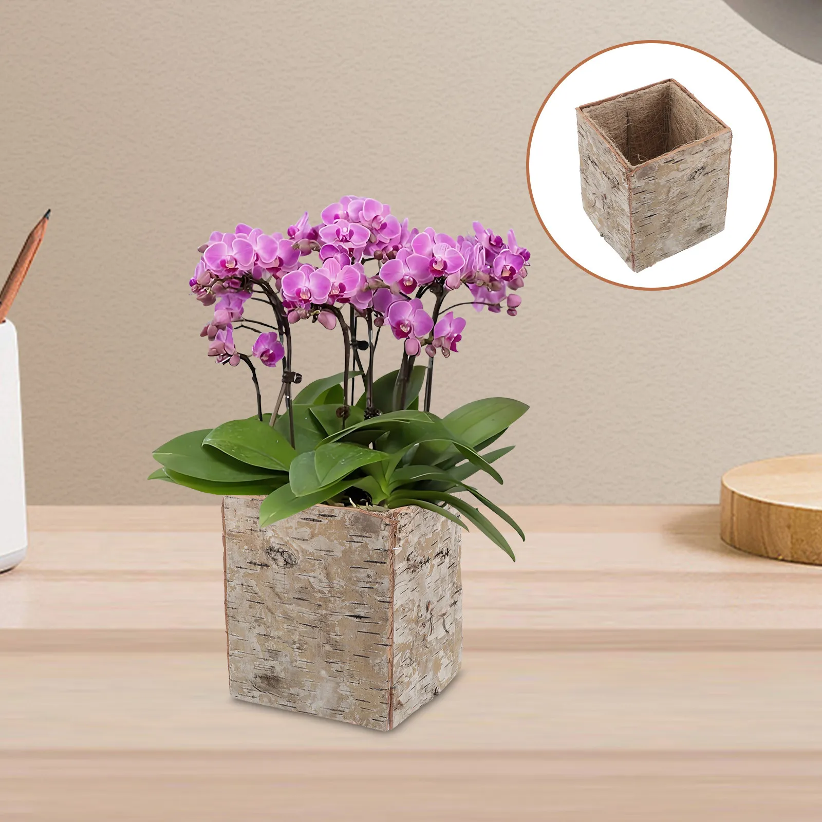 Birch Bark Flower Pot Handcrafted Rustic Planter Ideal for Succulents Cacti Floral Arrangements Vintage Home Decor Balcony