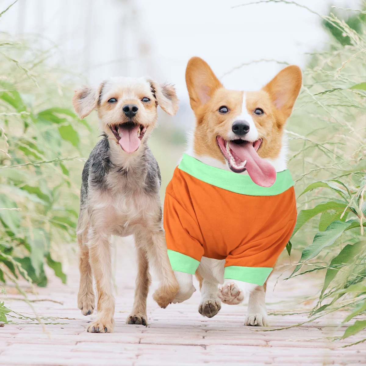 

Halloween Pumpkin Dog Vest Pet Clothes Halloween Costume Breathable Comfortable Skirt Dress Perfect for Outdoor Activities