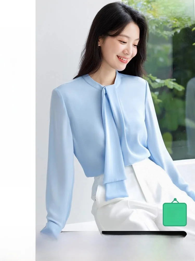

Commute Sle Long Sve Chiffon irt Women's Stand Collar Draped Design Spring New Arrival Double Layer Blue Color Top