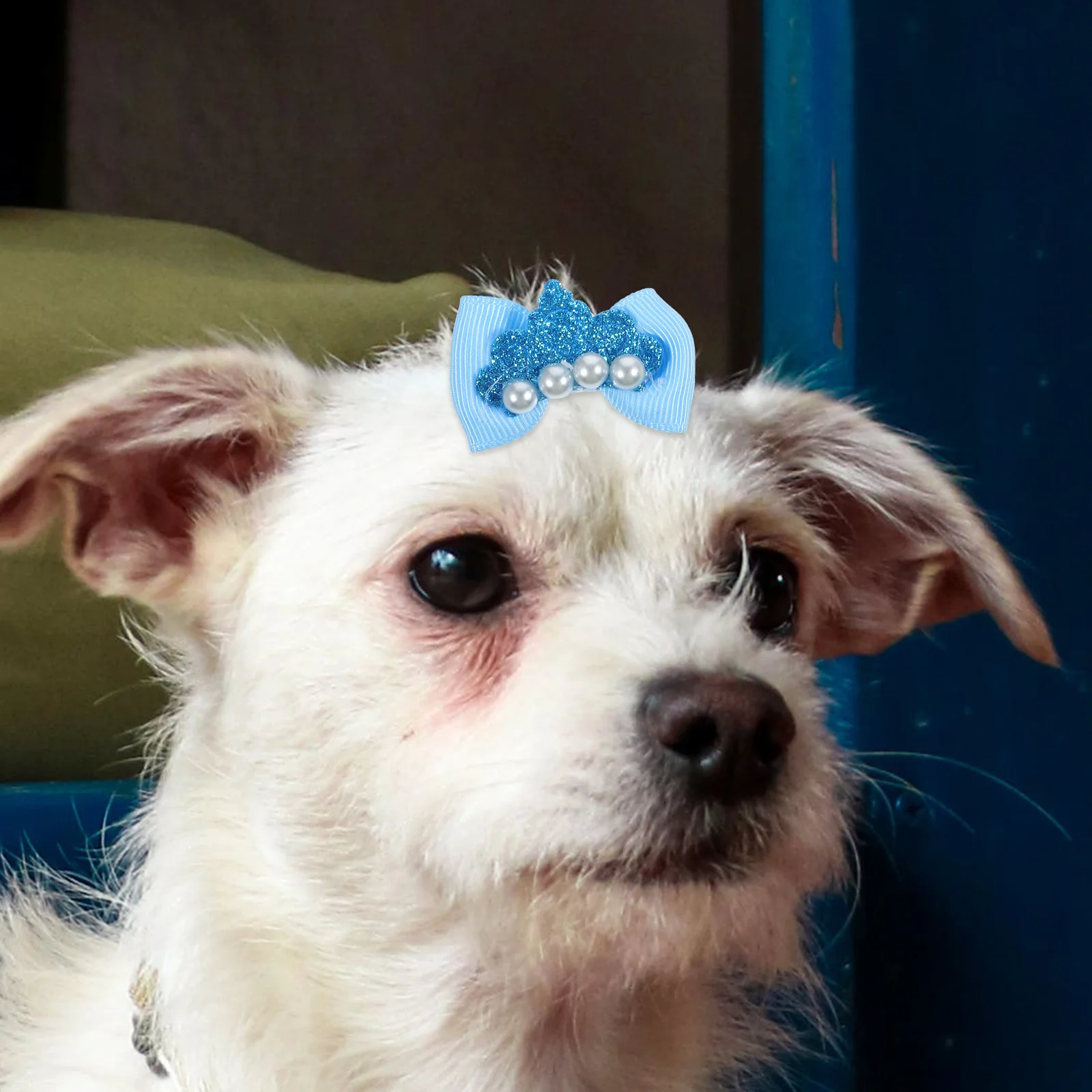 

10Pcs Pet Hair Bow Dog Hair Accessories Elastic Rubber Bands Puppy Grooming Ties Cute Chic Design Small Medium Large Dogs Cat