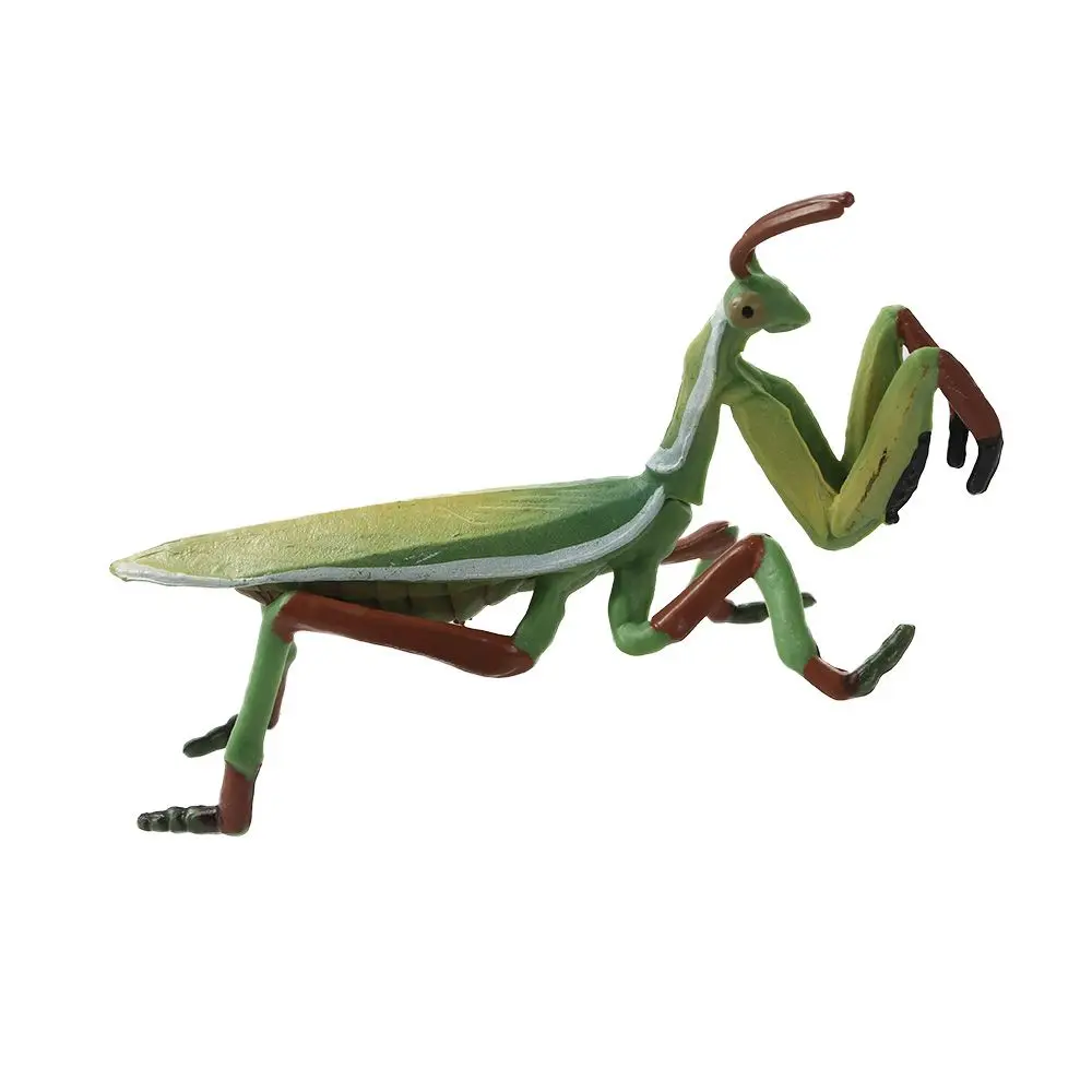 Ciência realista Shopper Brinquedos para Crianças, Praying Mantis Toy, Caracol Crescimento Ciclo Figuras Ciclo de Vida, Ciclo Mantis estatueta