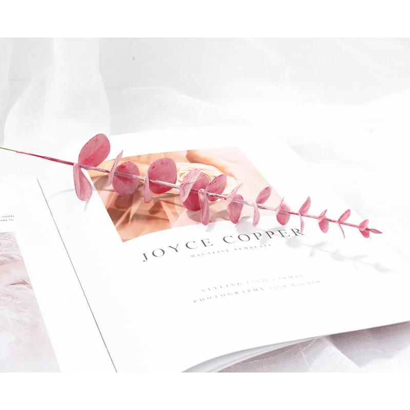 INS Simulation Eucalyptus Leaves Photo Props Jewelry Manicure Food Decoration Shooting Background Shooting Props