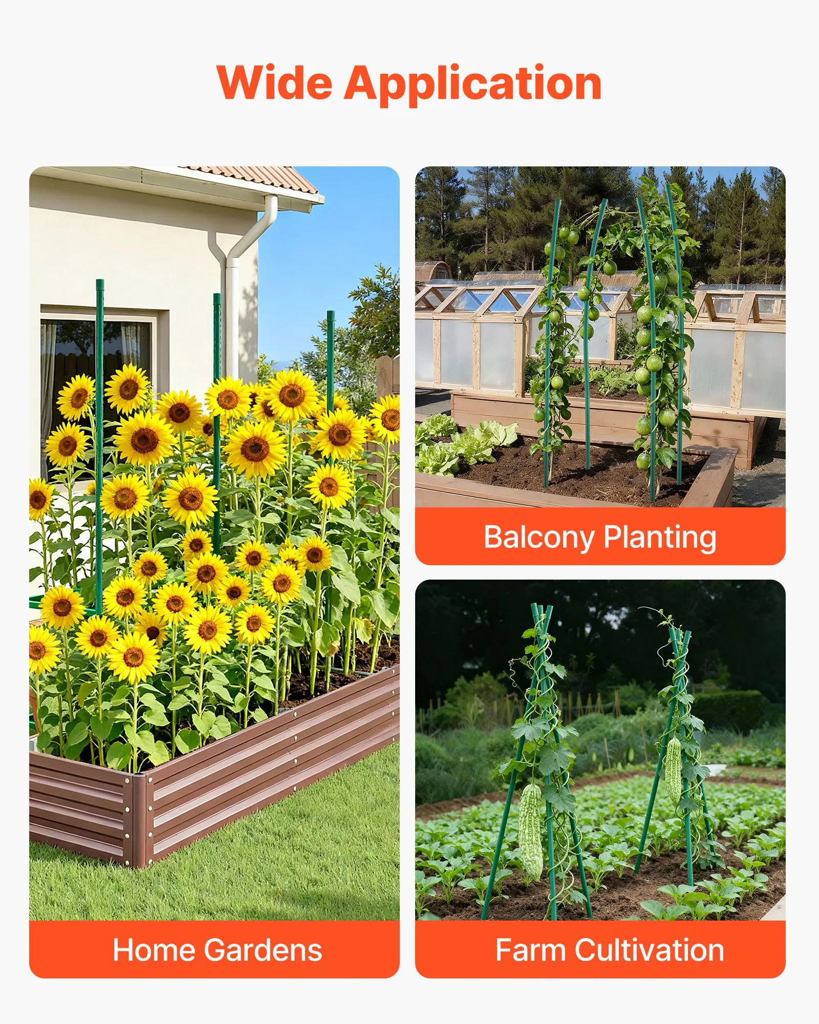 Lot de 15 piquets de jardin, dimensions du lot 174 x 8 x 8 cm, piquets de support pour plantes en métal robuste pour plantes d'extérieur et vignes