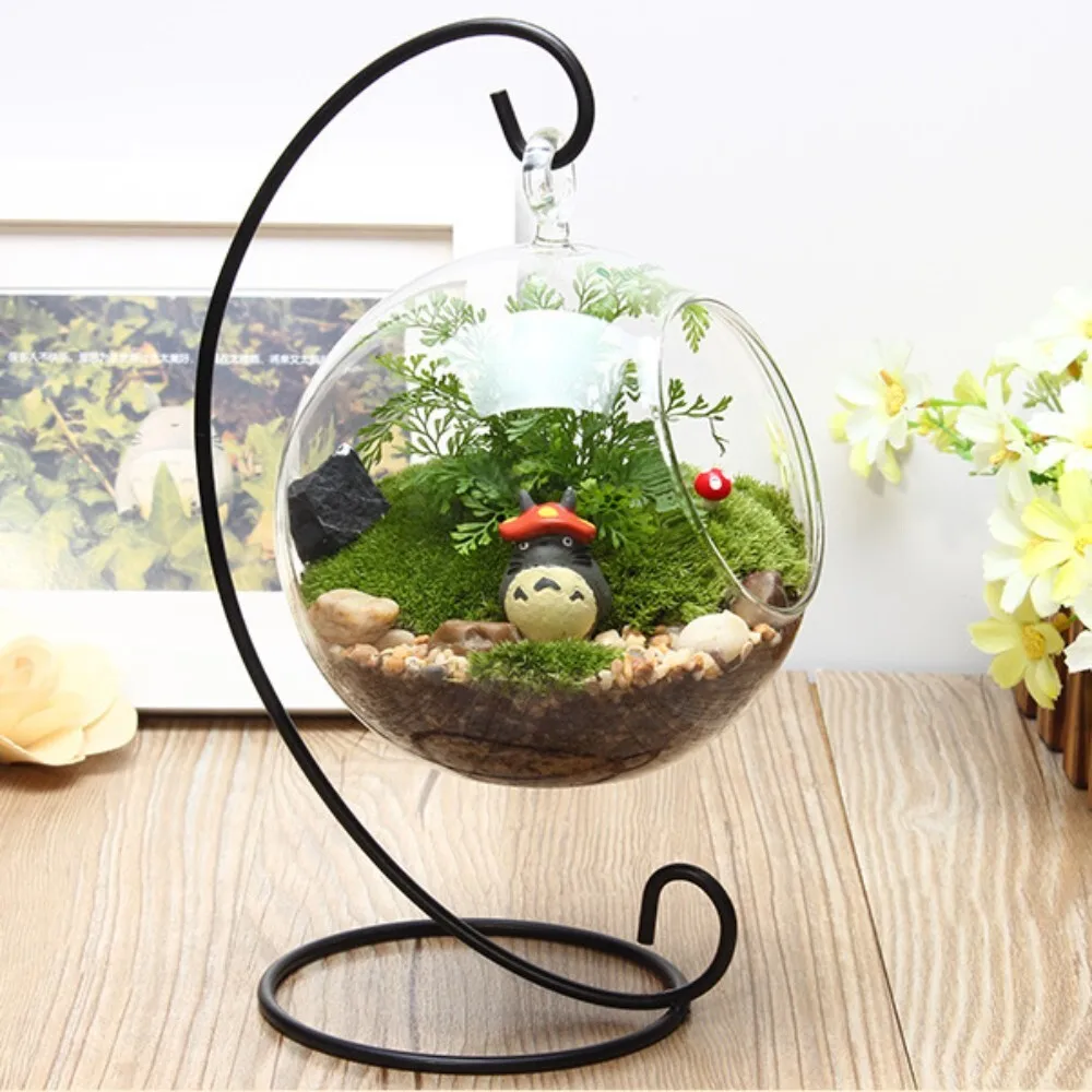 

Glass Hanging Round Terrarium with Iron Frame for DIY Mini Moss Plant Display Creative Home Decor Craft Project Indoor Greenery