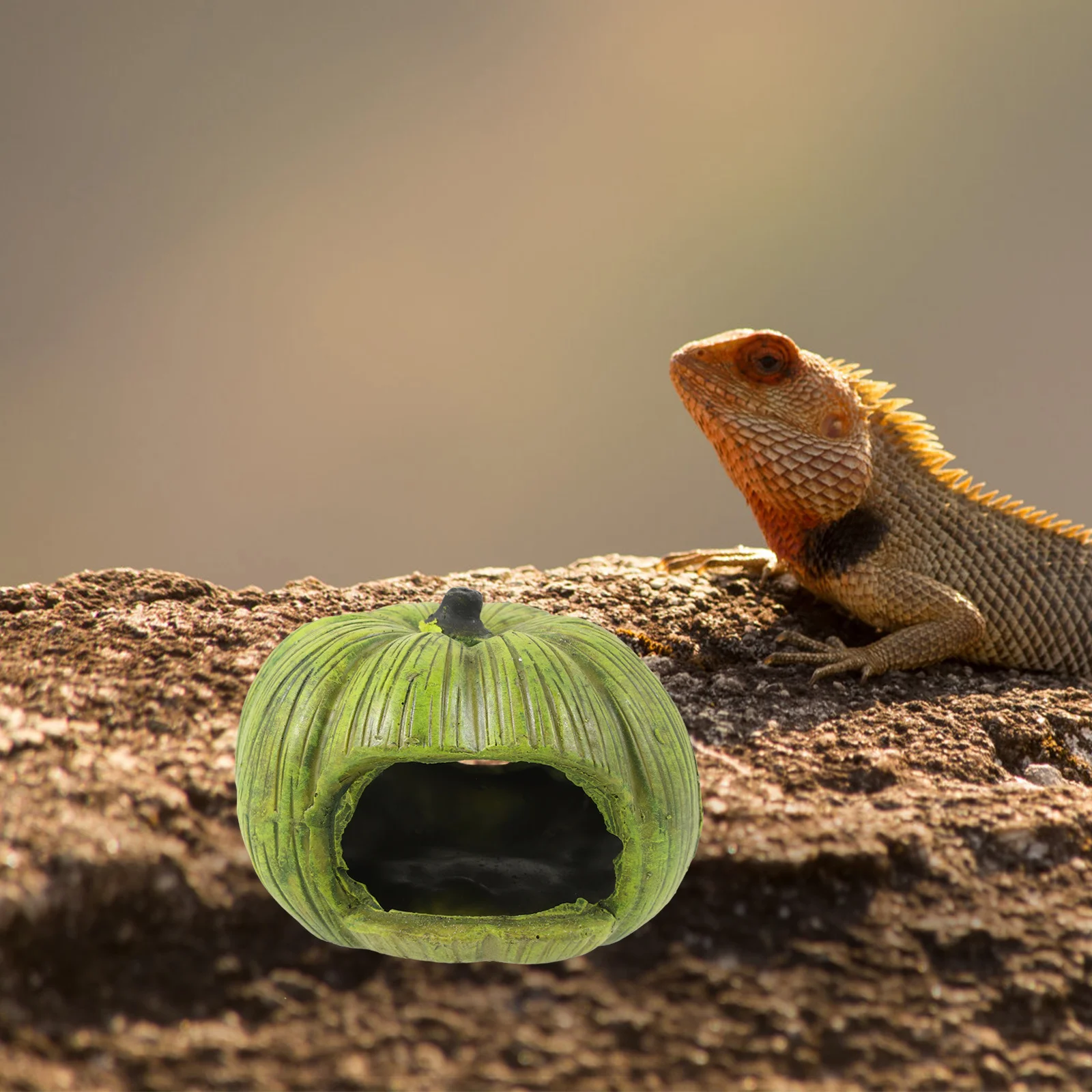 

Pumpkin Shape Reptile Hideout Resin Lizard Shelter Smooth Edges For Bearded Dragon Snake Hermit Crab Tank Decor Cave