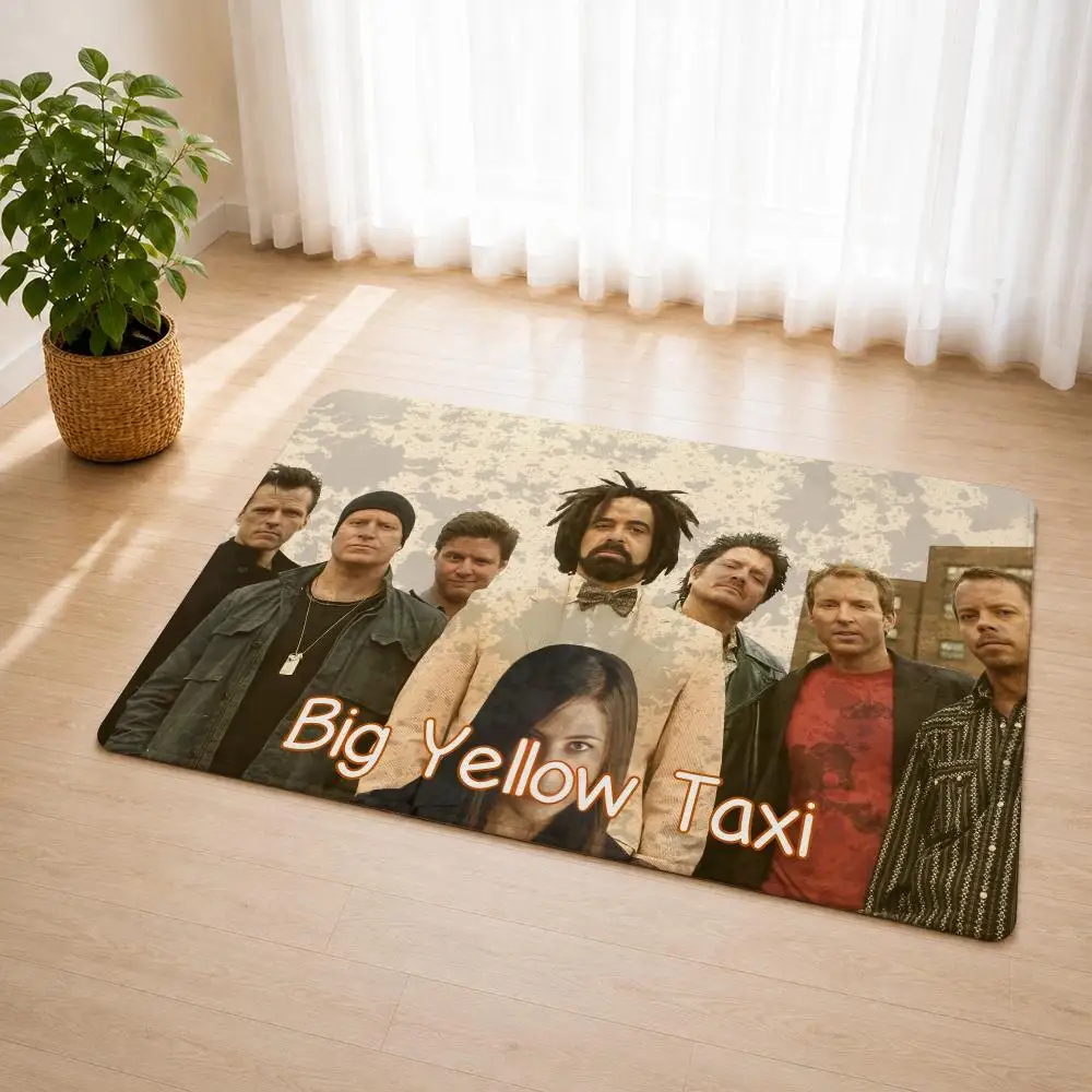 Rock Band C-COUNTING CROWS Floor Mat Flannel Rug Soft Non Slip Door Mat For Bathroom Bedroom Kitchen Living Room Home Decor