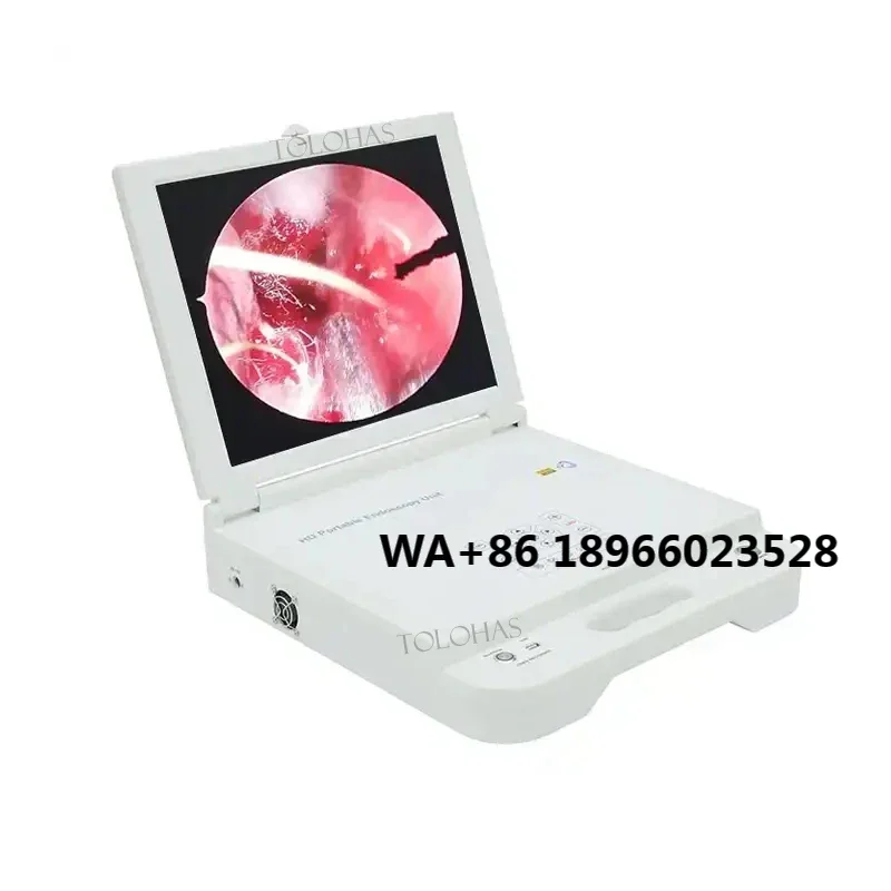 Portable Endoscopy Unit LHGW612 Portable HD Medical Monitor Led Light Source ENT CCD  Camera