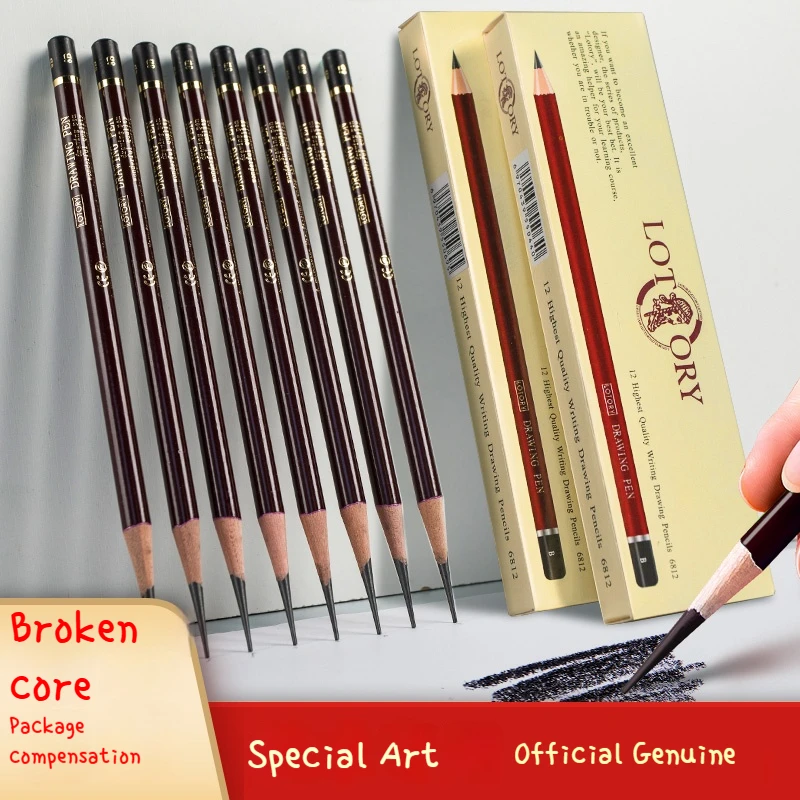 Professional Drawing Sketching Pencil Set 12 Pcs Art Pencils Drawing Graphite Shading Pencil Set for Beginners & Pro Artists