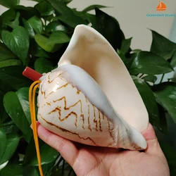 Large Natural Conch Horn Pendant Horned Turban Shell Handicrafts for Kid Genuine Blowing Shell Whistle Music Instrument Gifts