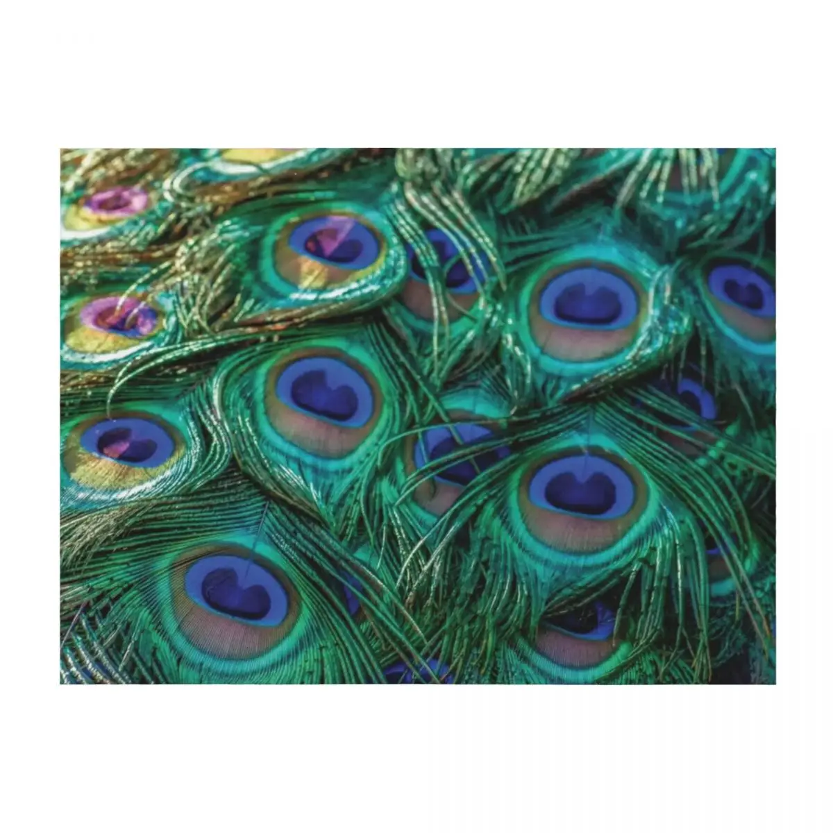

Green and blue peacock feathers Throw Blanket Decoratives Kid'S Retros Thermal Blankets
