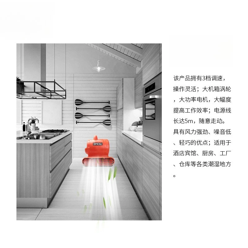 Asciugatrice per tappeti per WC ad alta potenza da 2025 1100 W, ventilatore per deumidificazione commerciale, soffiatrice a terra