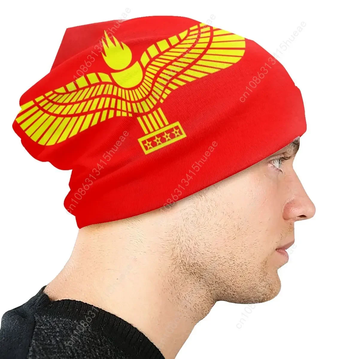 Aramean Suryoyo Logo Beanie Bonnet Knitted Hats Men Women Cool Unisex Syriac Assyria Flag Winter Warm Skullies Beanies Cap