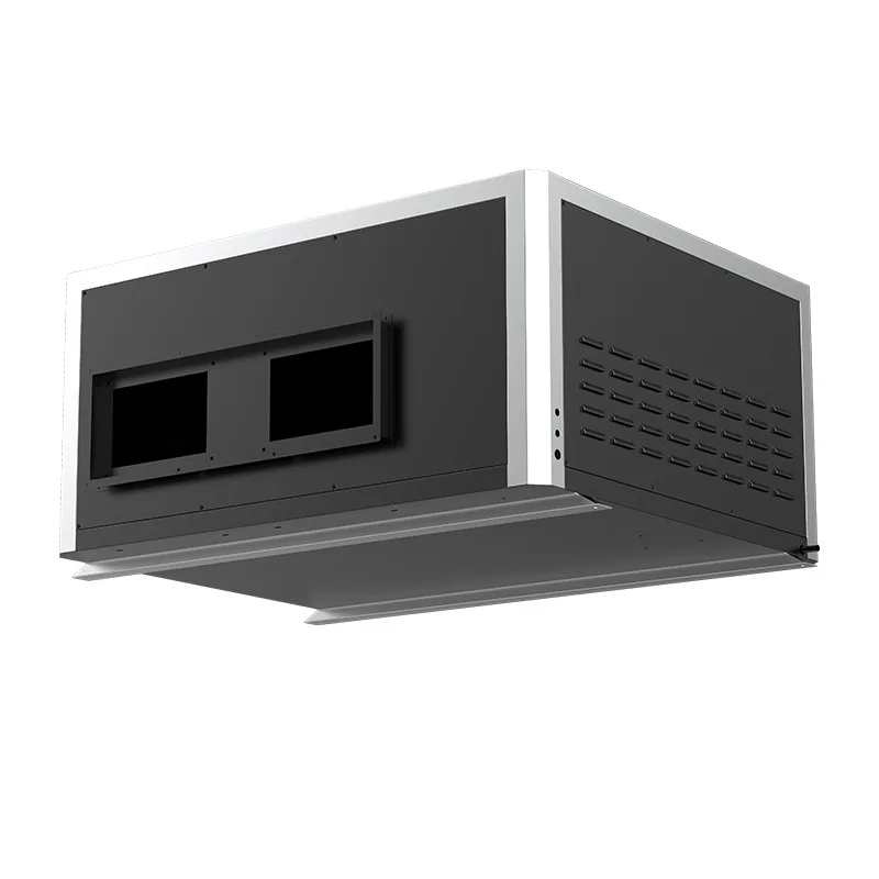 

Ceiling dehumidifier Automatic constant temperature intelligent defrosting Large area dehumidifier Warehouse library