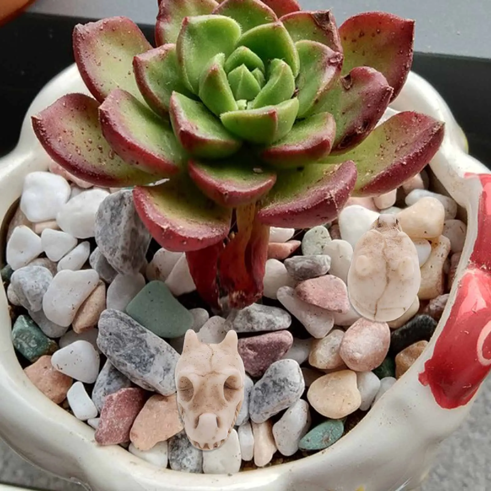 20pcs Mini Skull Figurines Outdoor Skull Statue Dragon Head Resin Decoration For Garden Yard Fish Tank Landscape Lawn Ornament