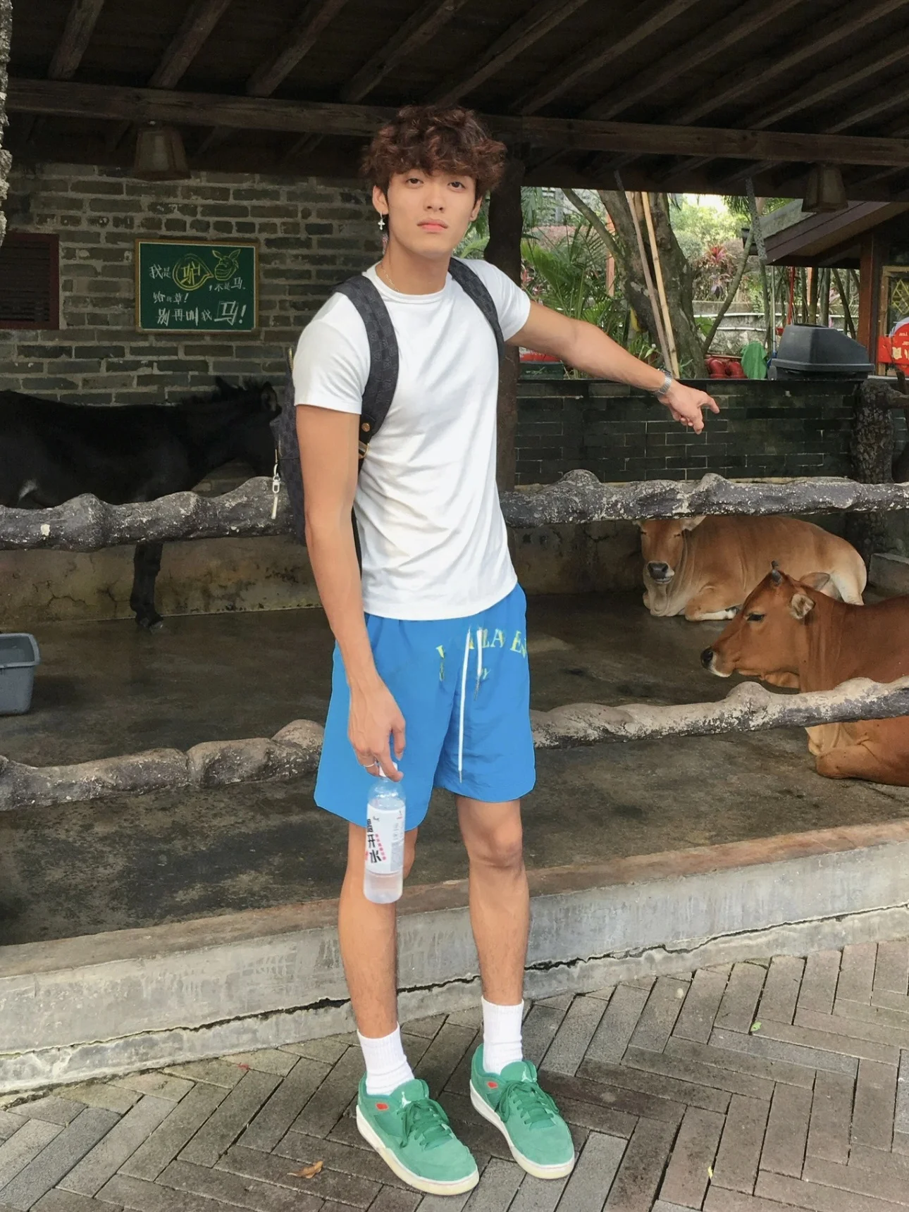 

Мужские летние повседневные свободные спортивные орты American Sle Qui Dry из нейлона синего цвета с буквенным принтом