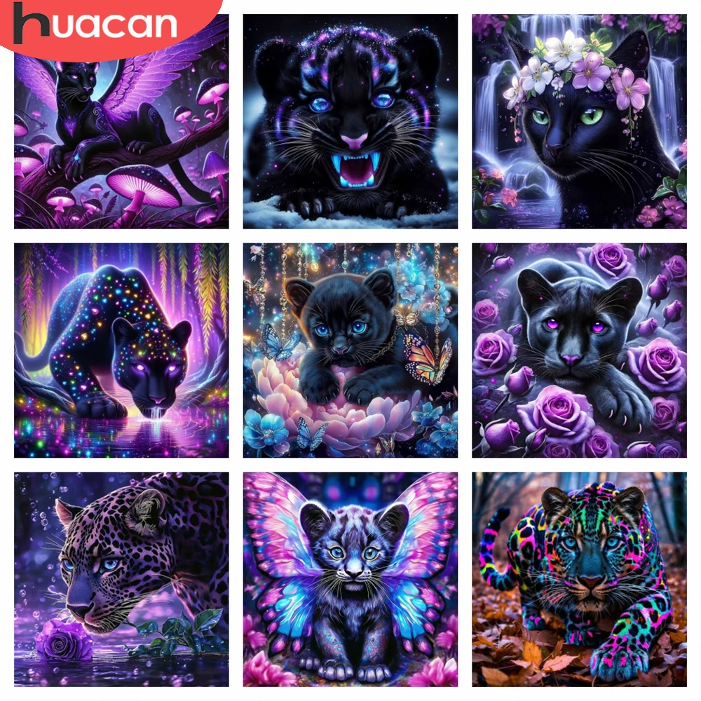 Huacan Diamond Pain…