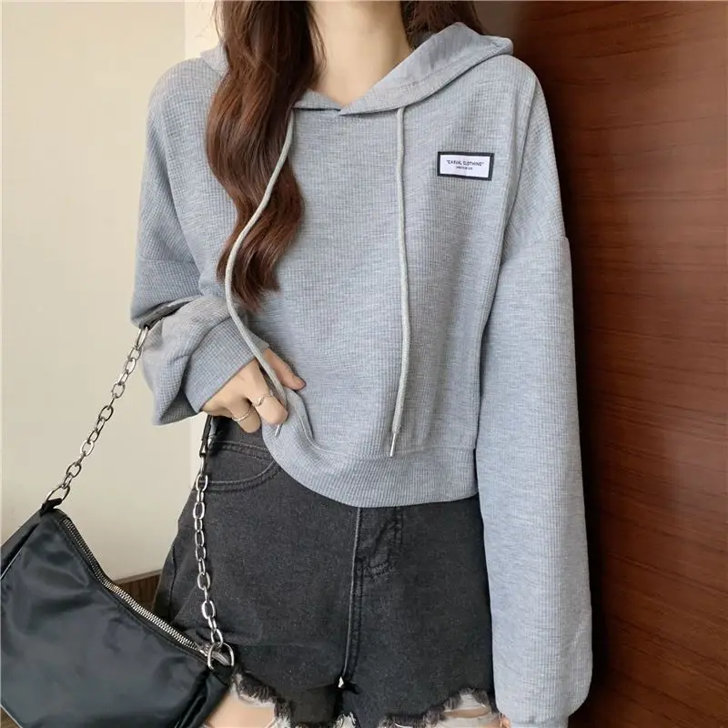 Long Sleeve Spring and Autumn Woman Hooded Tops Y2k Japanese Streetwear 2000s Sweat-shirt Sport Emo Hoodies Sweatshirt for Women