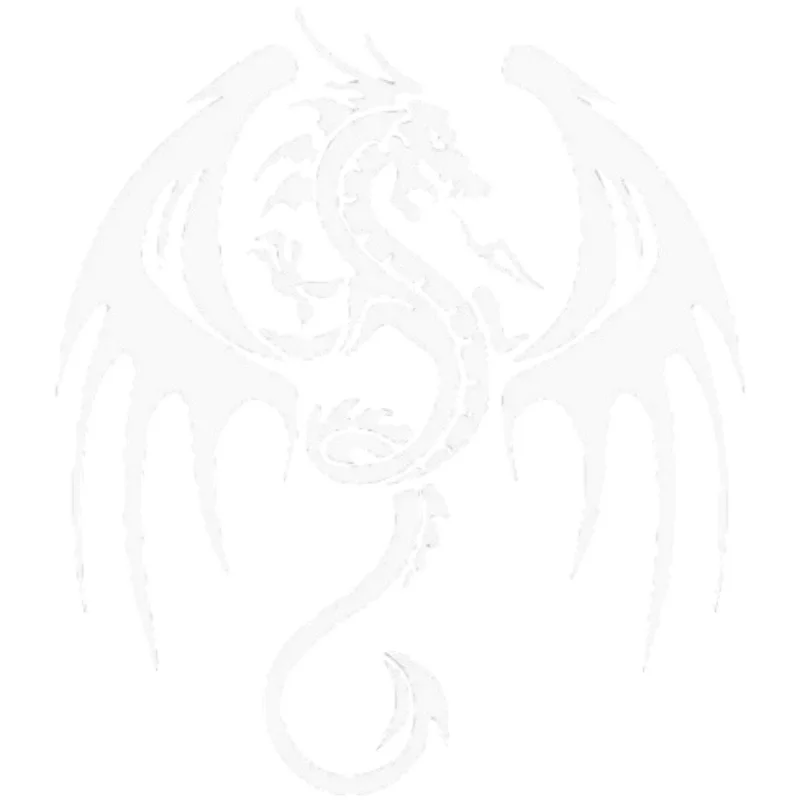 Three Ratels X201 Dragon car sticker car outside window bumper sticker fridge laptop guitar decal vinyl weatherproof
