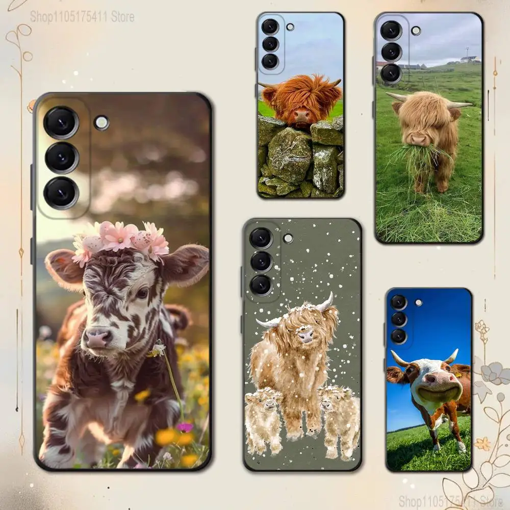 Cool Highland C-Cow… - image