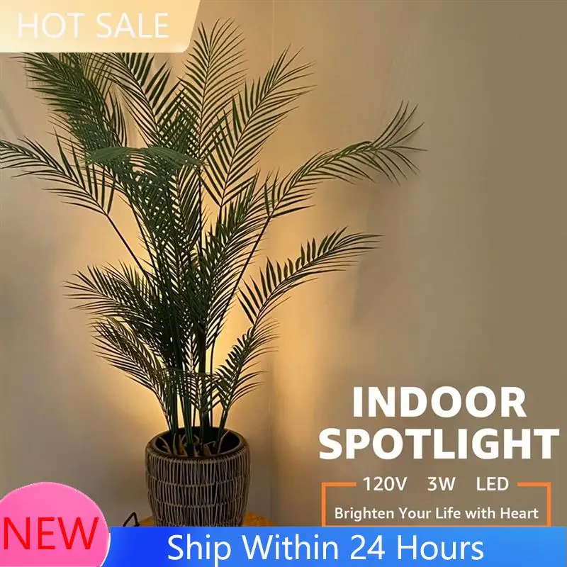 

2025 Trend3w Spot Lights Indoor Adjustable Up Indoor Floor Spotlight LED Dimmable Plant Spotlight Accent Lighting US Plug