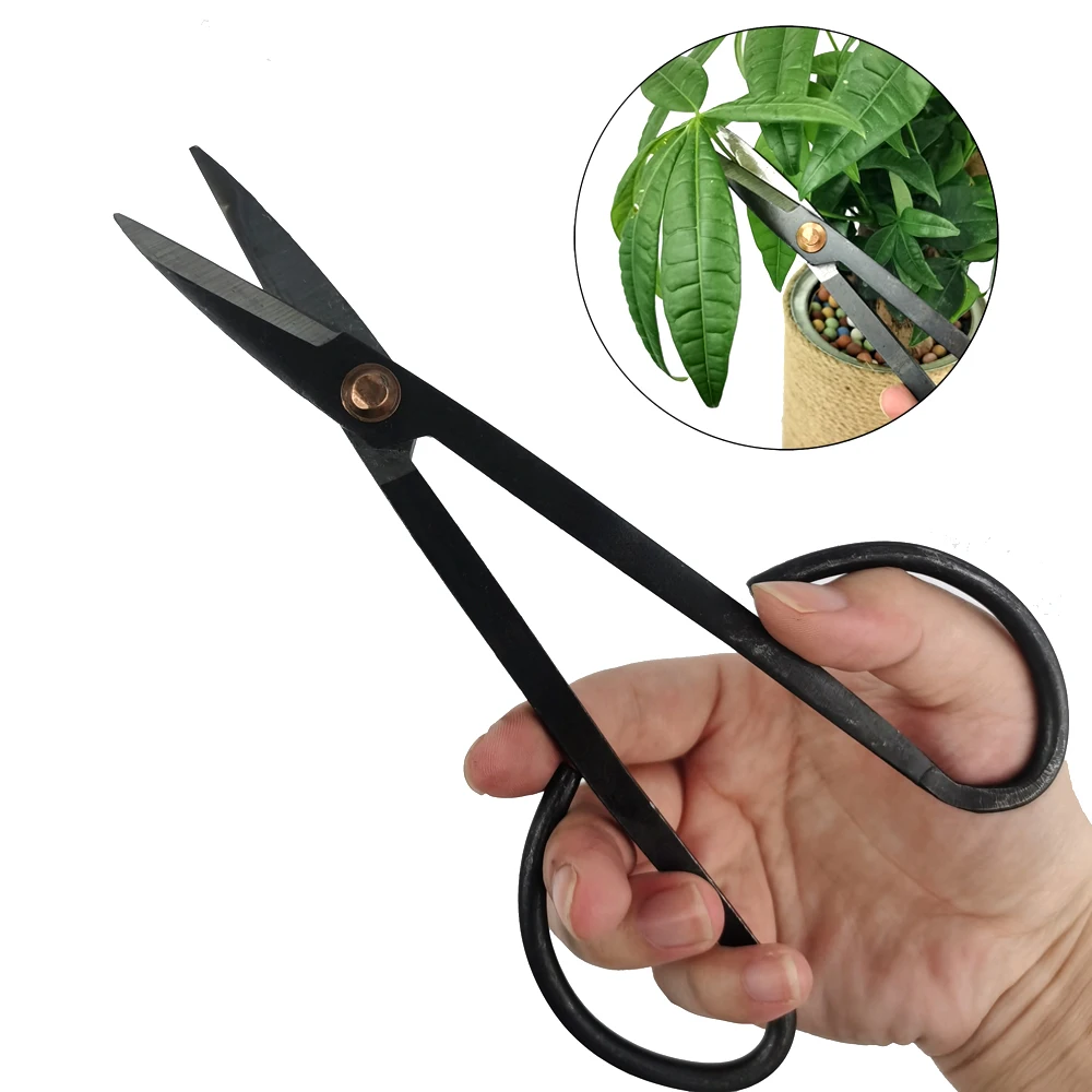 

185mm Beginner Bonsai Tool Long Handle Scissors Gardening Plant Branch Shears Garden Pruning Tools Bonsai Scissors Drop Shipping