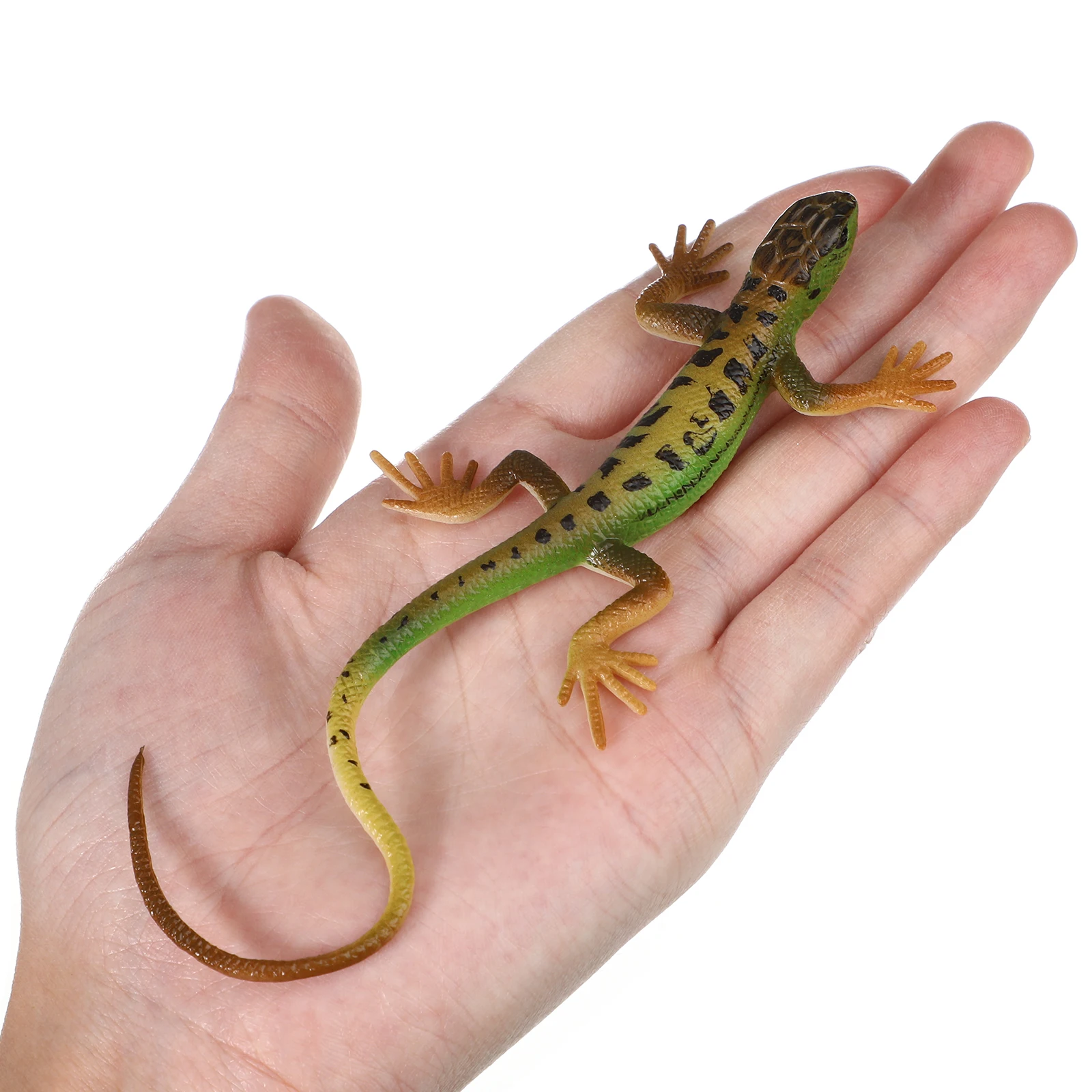 2 pcs Reptile Toys Reptile 3d Model Realistic Fake Lizards Lizard Models Lizard Action Figure Artificial Reptile Lizard Models