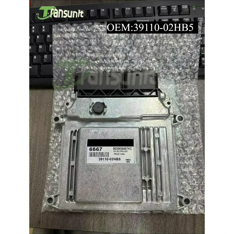 New 6667 Ecu 39110-…