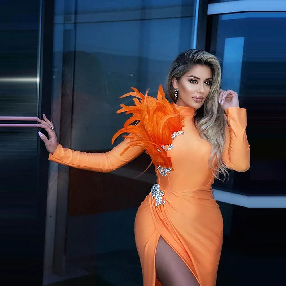 Orange Feathers Eve… - image