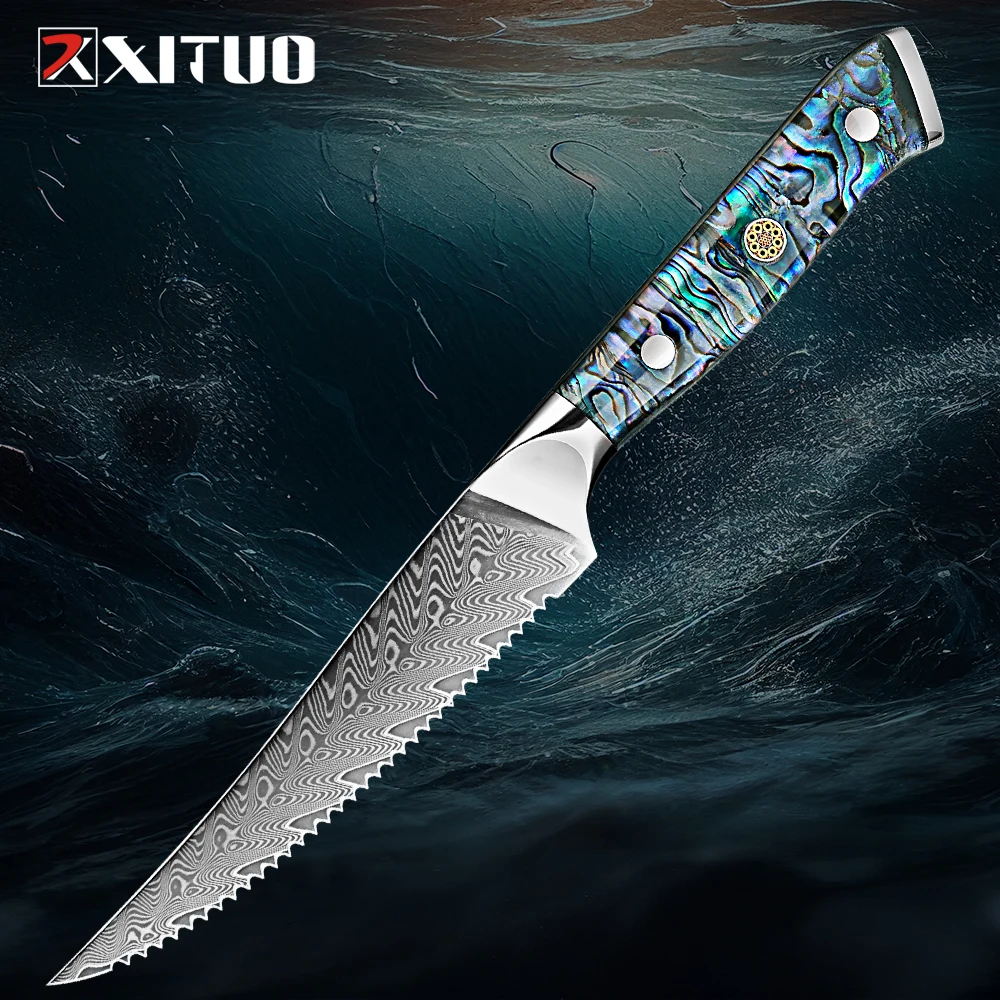 Kitchen Steak Knife 5 Inch Damascus Steak Knife VG10 Japanese Steel Steak Knife Full Tang,Serrated Steak Knives Ergonomic handle