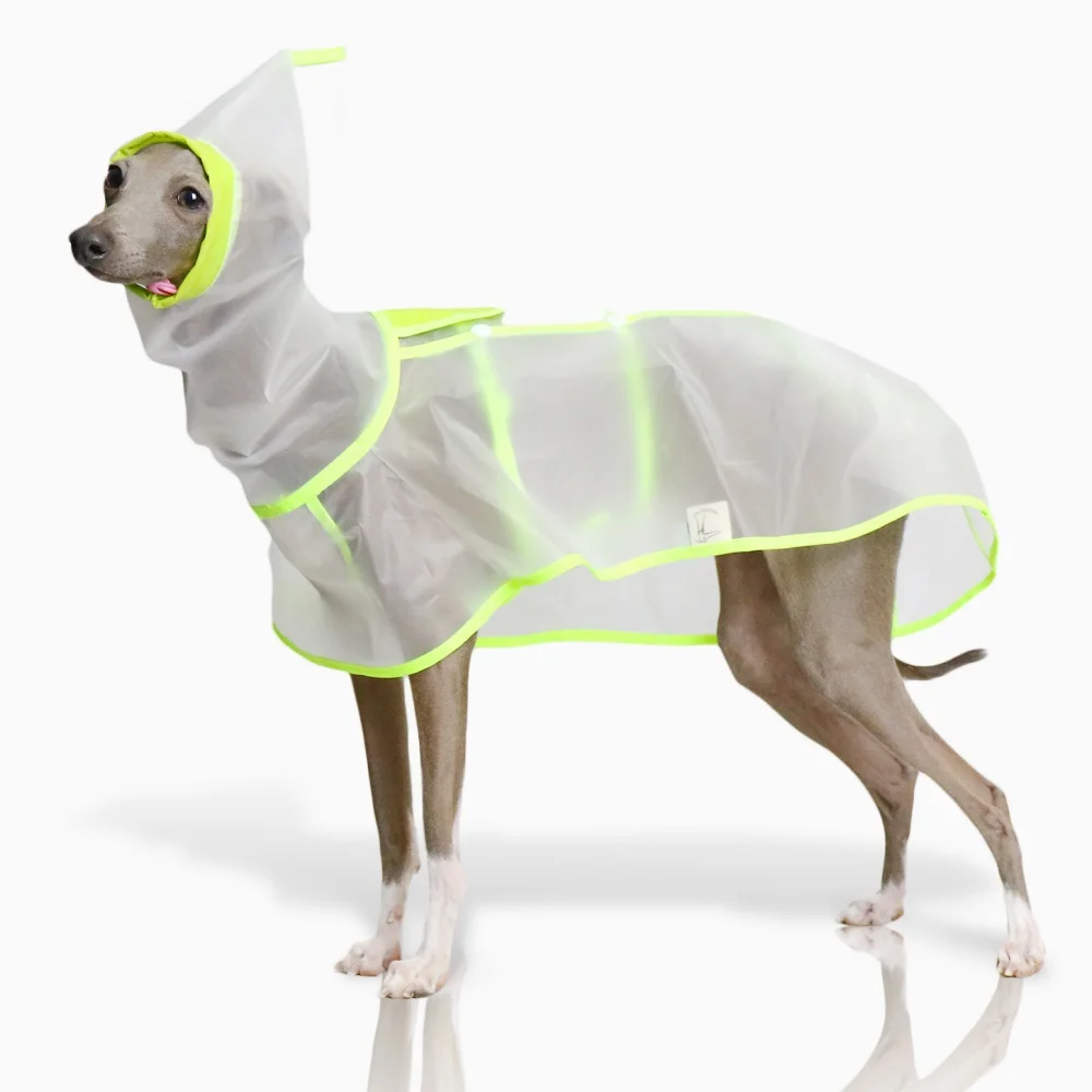 Waterproof Rainproof Windproof Abdomen Fixed Cape for Italian Greyhound Transparent Lightweight Hooded Raincoat in Summer Spring